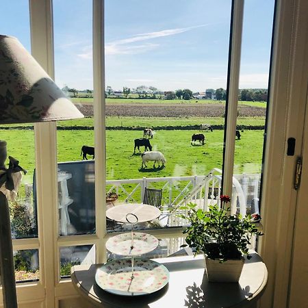 Bed & Breakfast Het Zilte Zand - Luxe Ontbijt - Gratis Parking - Westende Middelkerke Exteriör bild
